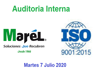 Auditoria Interna ISO Julio 2020