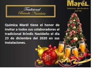 Brindis Navideño 2020