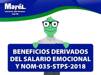 Salario emocional y NOM-035