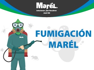 Hoy fumigan en Marel