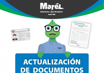 Actualización de documentos