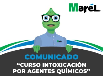 Intoxicación por agentes químicos