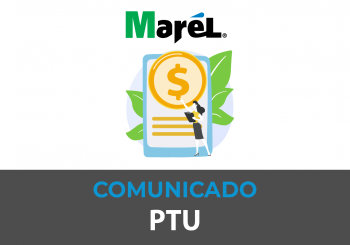 Reparto de utilidades